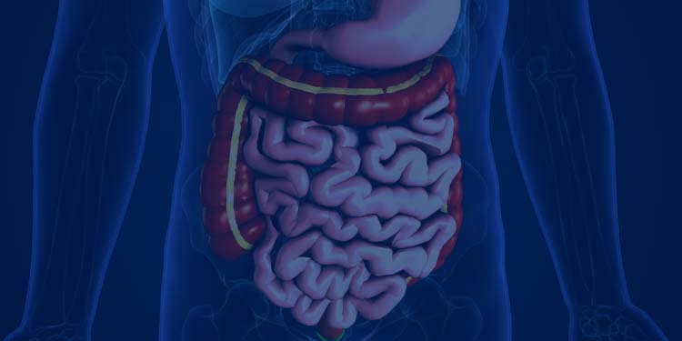 Esophageal and Stomach Cancer Treatment