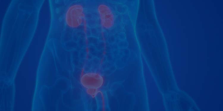 Genitourinary Cancer Management